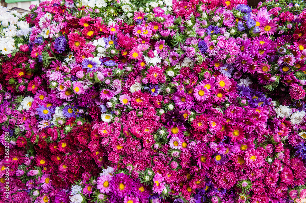 Obraz premium Flower market, Myanmar