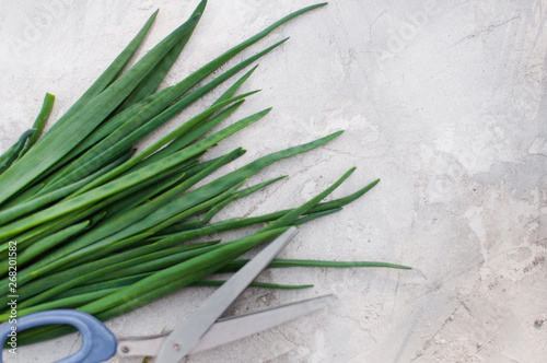  green onions on a light background