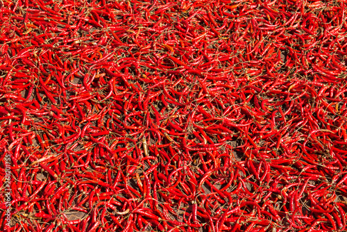 Chilli production in Myanmar