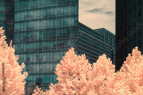 Beijing,in infrared light photo