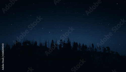 Mountain forest under the night sky photo