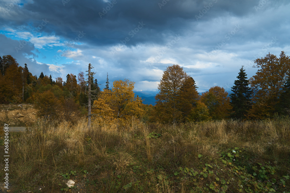 Mountain landscape, beautiful view of the mountains and trees, summer vacation in the mountains.