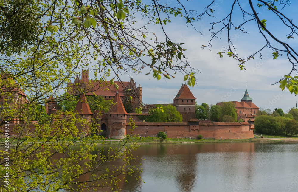 Fototapeta premium Malbork zamek