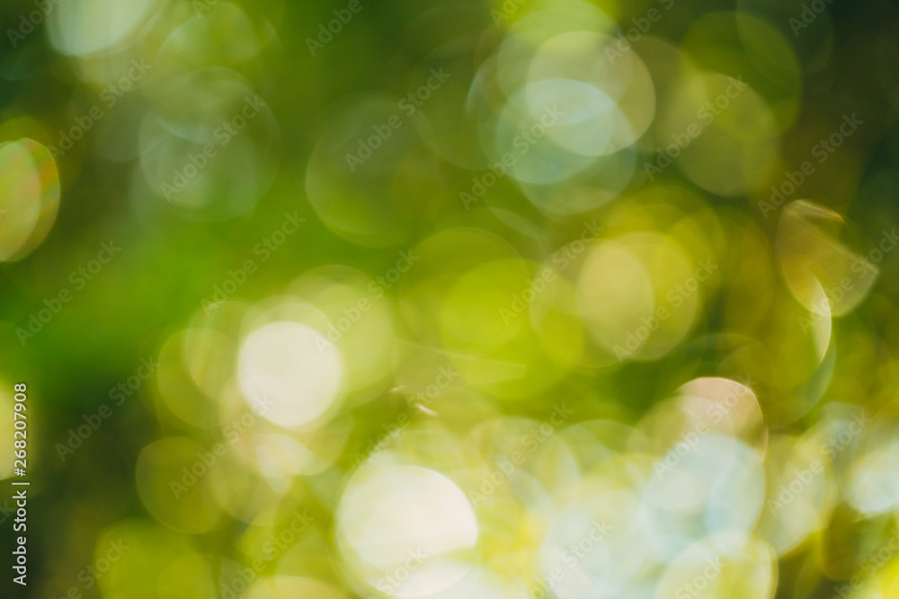 Fototapeta premium Green bokeh out of focus background from nature forest