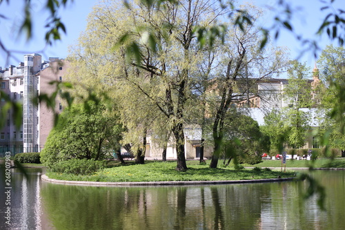 park, forest, reflection, spring
