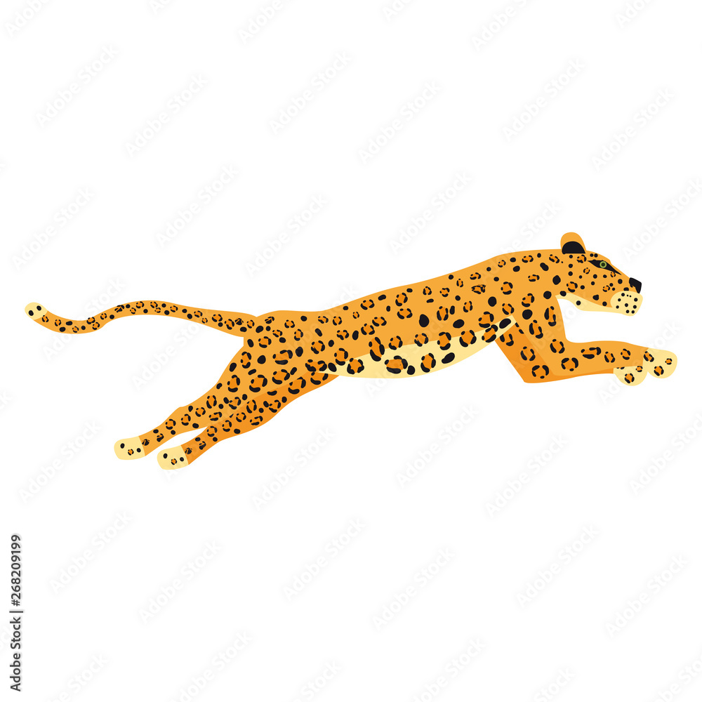 Obraz premium Leopard cute trend style, animal predator mammal, jungle