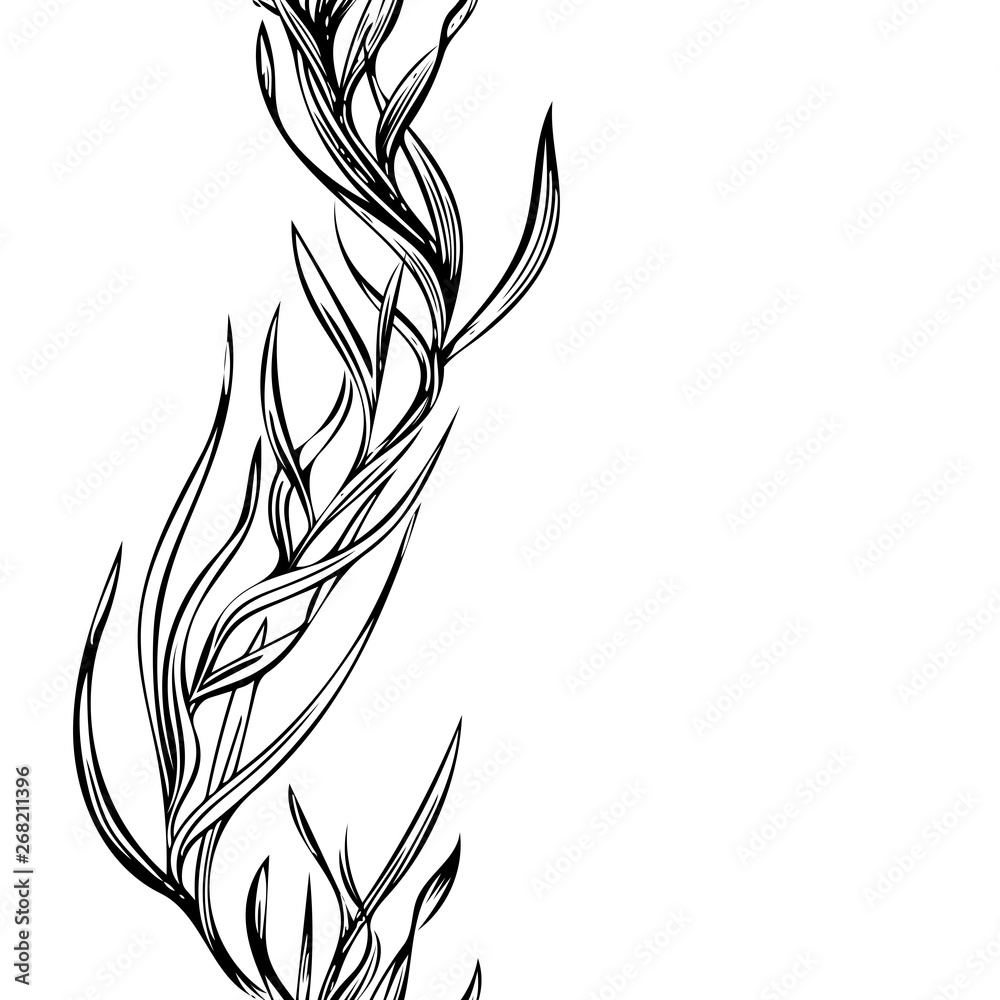 Obraz premium Hand drawn floristic seamless pattern. Frame for postcards. Seamless frame design. Abstract grass, black linear drawing. Black simple hand drawn illustration, plants isolated on white background