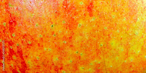 skin of an apple photo