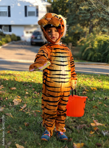 Trick or treating in neighborhood photo