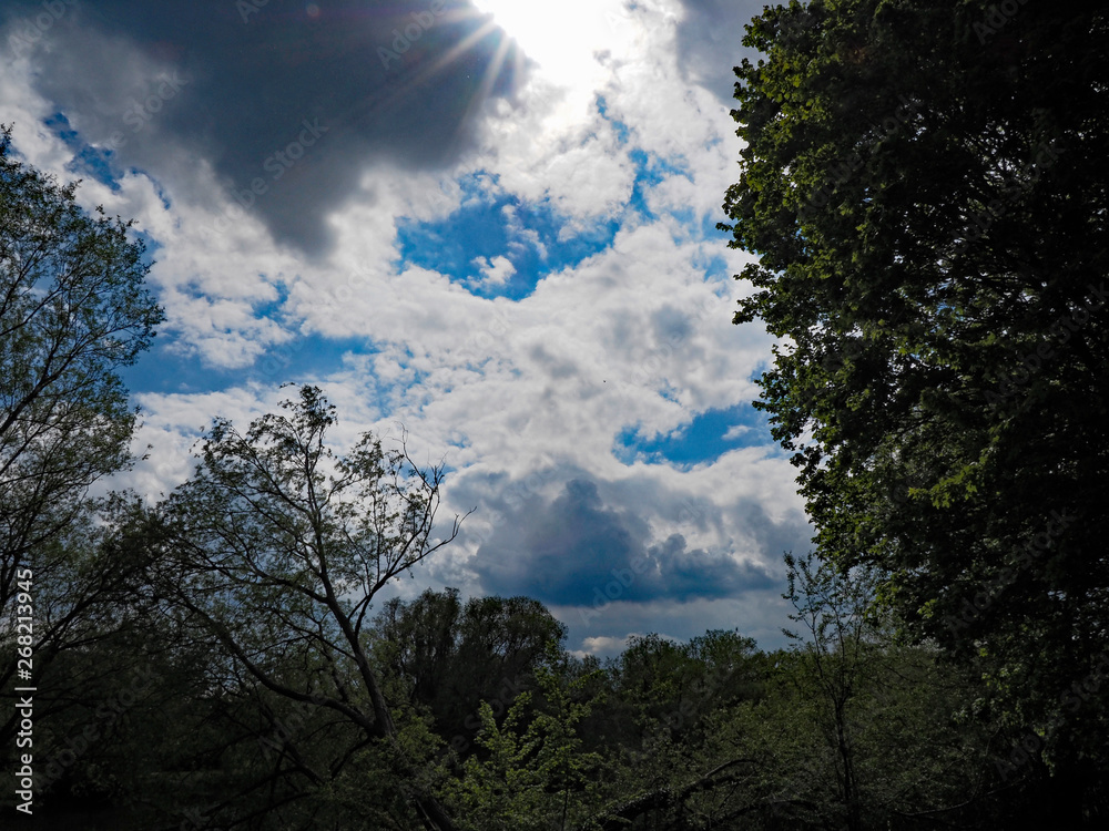 Obraz premium OLYMPUS DIGITAL CAMERA