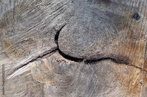 wood, texture, tree