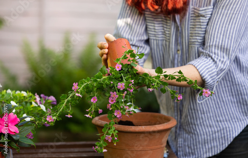 Anonymous woman repotting a plant into a terracotta pot