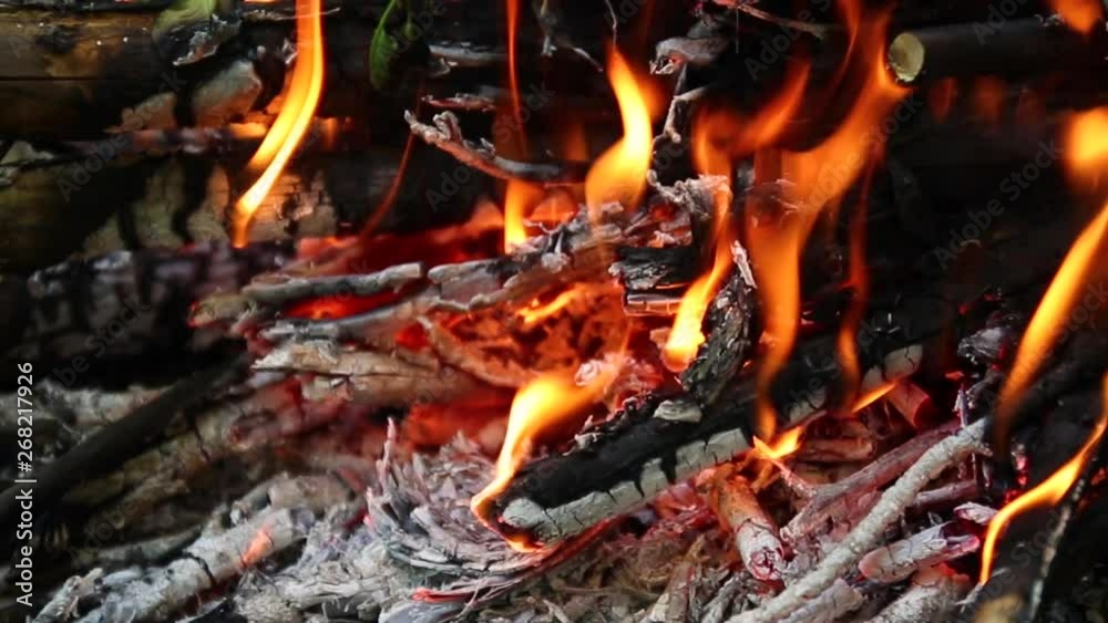 Bright flame of fire in the fire. Nature and recreation. Danger to nature Bright flame of fire in the fire. Nature and recreation. Danger to nature