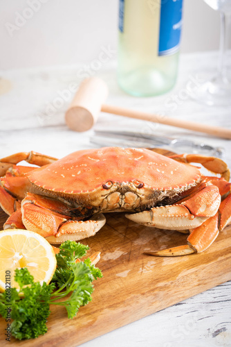 boiled dungeness crab image