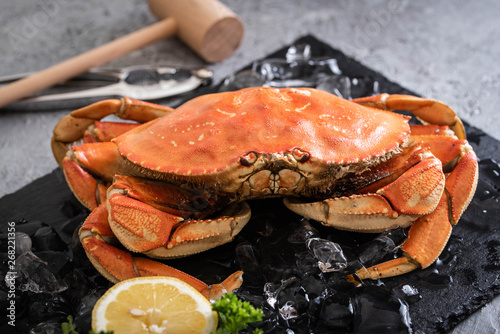 boiled dungeness crab image