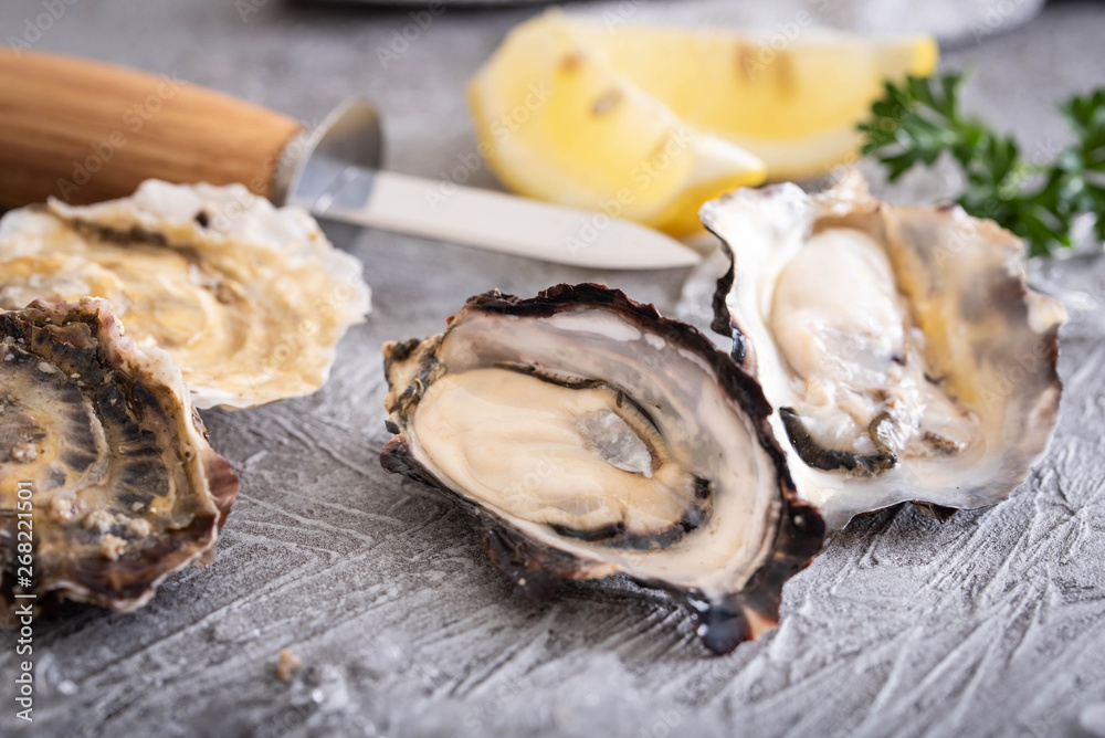 raw oyster with knife image raw oyster with knife image