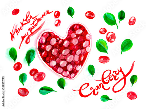 Bowl with ripe red cranberry. Watercolor hand drawn illustration, isolated on white background
