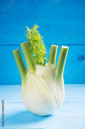 Fresh raw florence fennel bulb on a bringh blue background