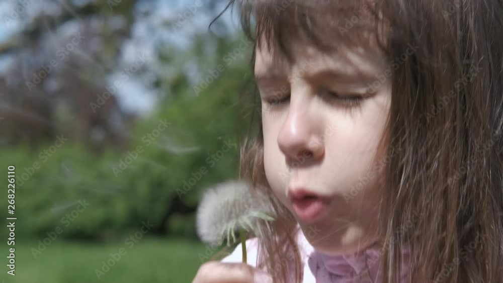 Allergy.A little girl with a white dandelion sneezes and rubs her nose. Spring allergy. Allergy.A little girl with a white dandelion sneezes and rubs her nose. Spring allergy.