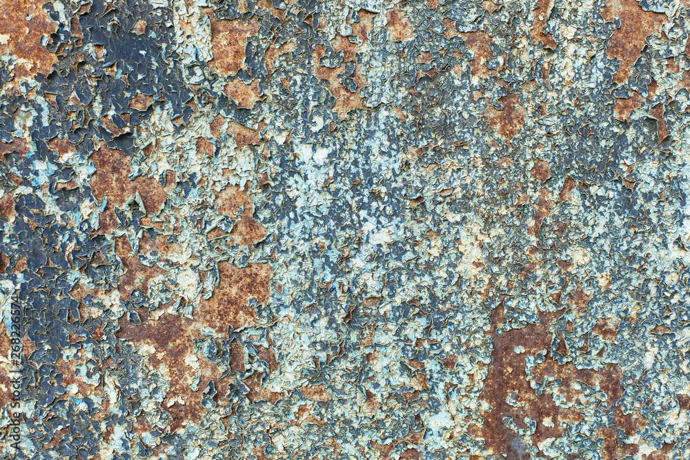 Grunge wall texture, iron rusty gates painted with white-blue-gray paint. Cracked paint on metal, beshshovny background, blank for text. horizontal frame Grunge wall texture, iron rusty gates painted with white-blue-gray paint. Cracked paint on metal, beshshovny background, blank for text. horizontal frame
