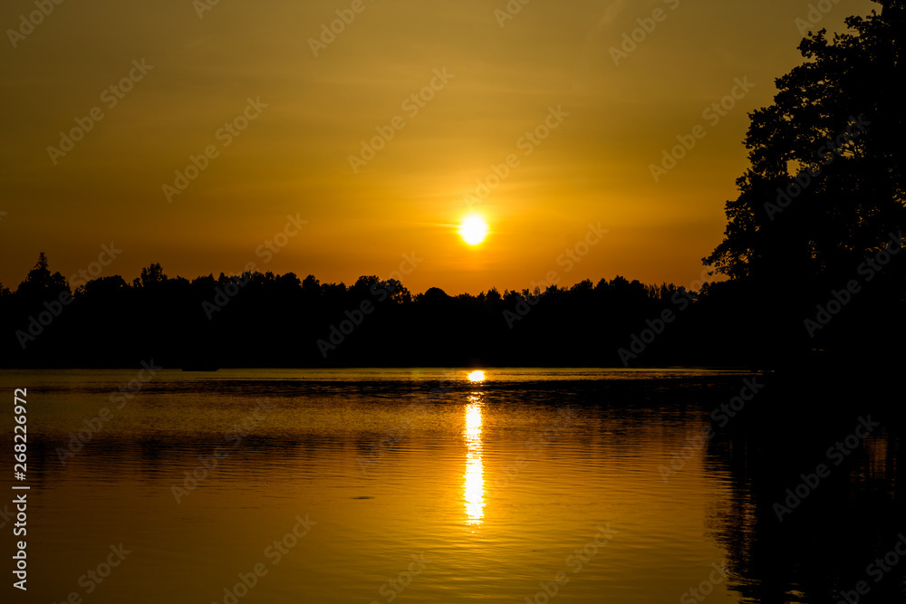 Golden sunset over a lake with tree silhouettes Golden sunset over a lake with tree silhouettes