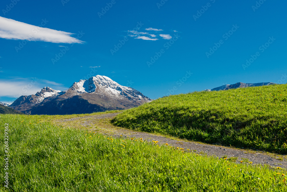 Fototapeta premium hill