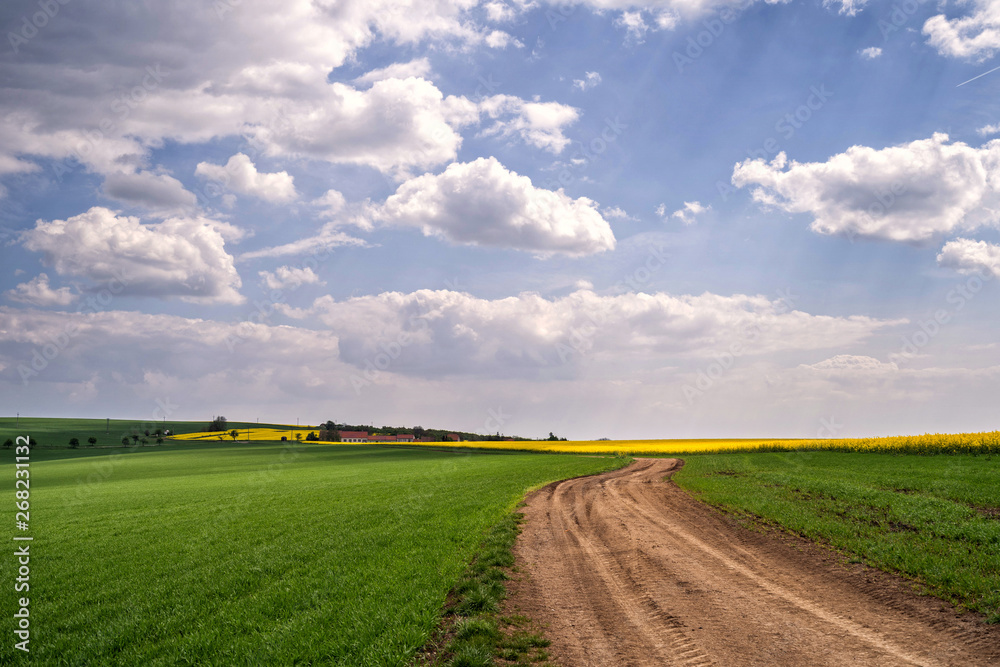Sceniec view of country road in summer field and clouds on blue sky. Sceniec view of country road in summer field and clouds on blue sky.