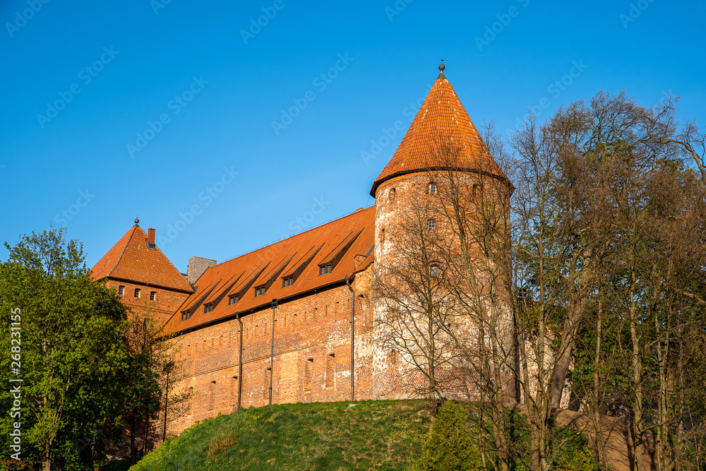 Wspaniały średniowiecny zamek