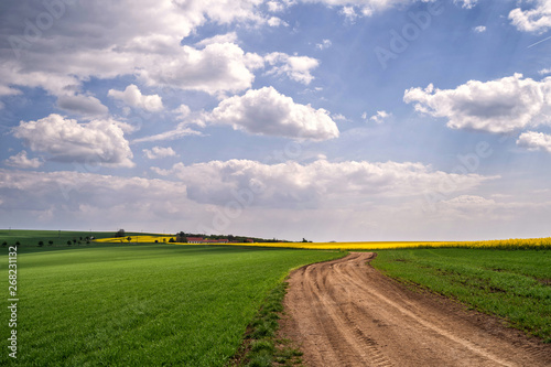Sceniec view of country road in summer field and clouds on blue sky.