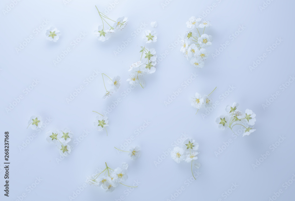Background of wildflowers. Background for a banner with natural colors.