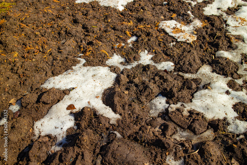 show and soil in the garden