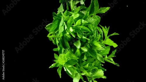 slow motion mint under the water