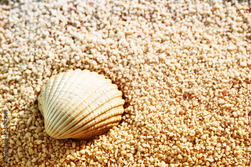 Vacation background with sea shell, soft focus, copy space