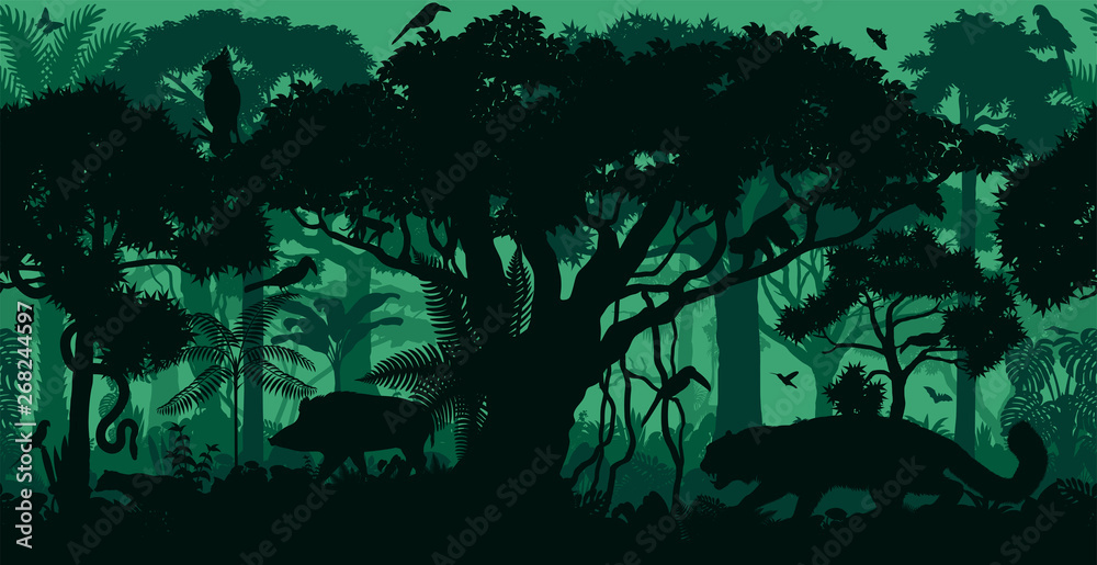 Vector horizontal seamless tropical rainforest Jungle forest background