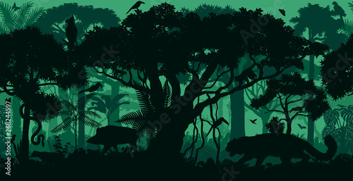 Vector horizontal seamless tropical rainforest Jungle forest background with animals