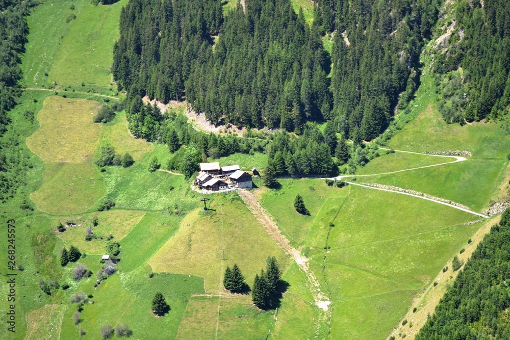 View of a small village in the Alps against the backdrop of forests and green meadows.