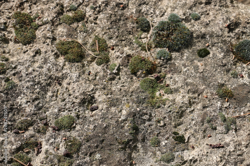 South of France - Closeup of an old stone with rough texture - Covered with moss South of France - Closeup of an old stone with rough texture - Covered with moss