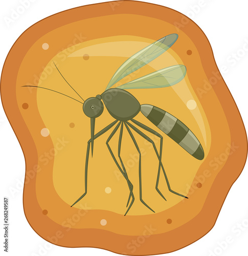 Illustration of Mosquito in yellow amber fossil