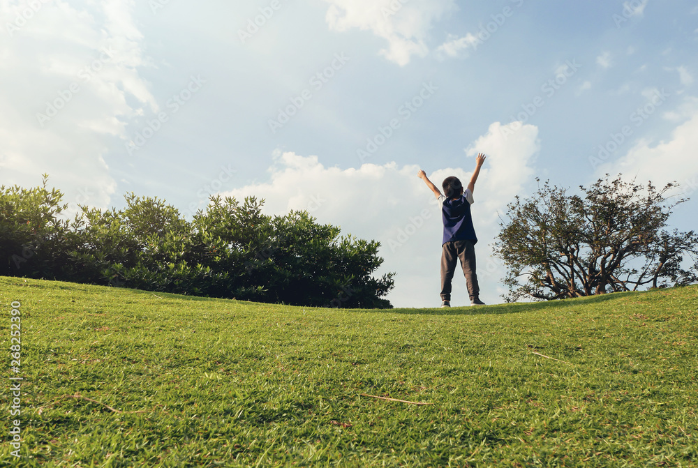 happy boy raising arms in summer happy boy raising arms in summer