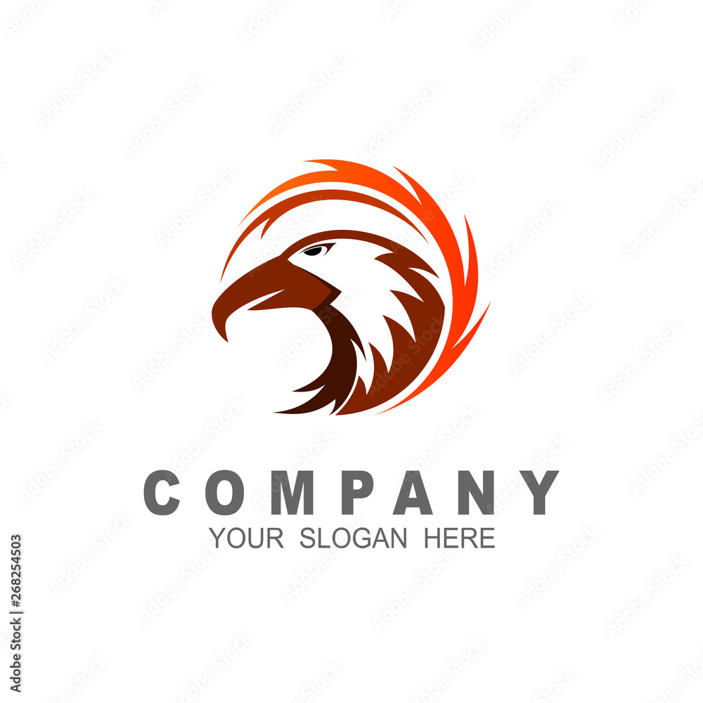 luxury eagle logo, vector logo template