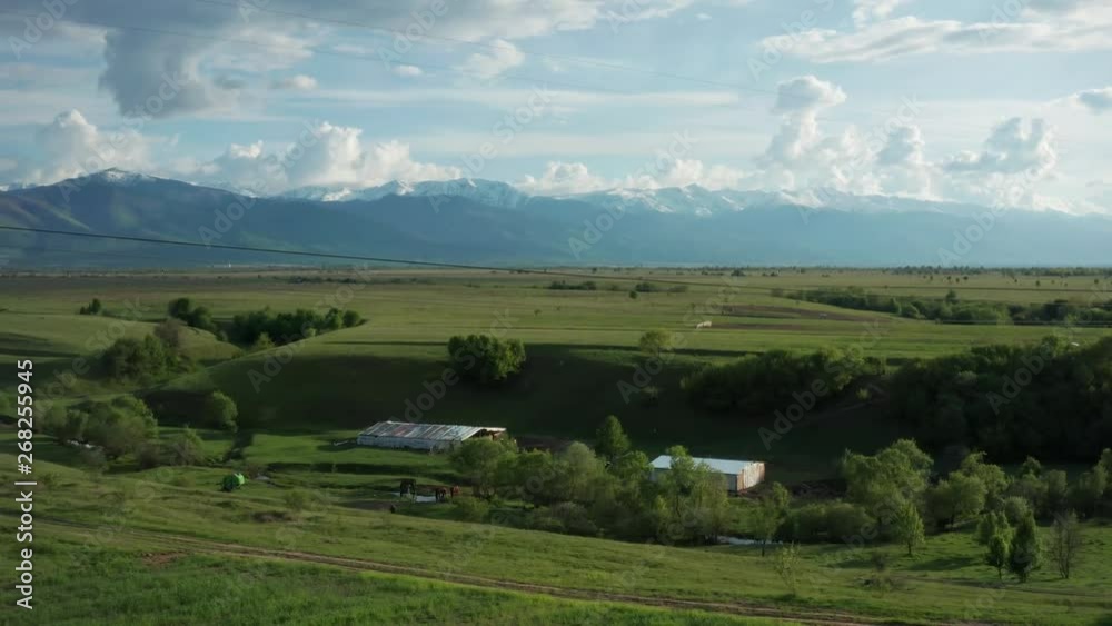 Drone orbiting a feeric scenery, with cows and horses eating in a valley, revealing the mountains in the background.