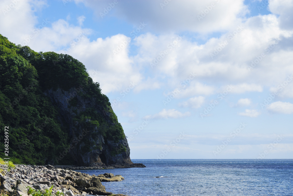 Naklejka premium 海岸 素材