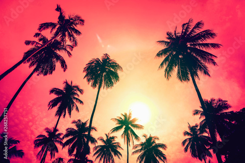 Fototapeta Naklejka Na Ścianę i Meble -  Silhouette coconut palm trees with sunset and flare sky background.