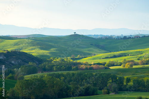 Val d'Orcia landscape in spring. Hills of Tuscany. Cypresses, hills, yellow rapeseed fields and green meadows. Val d'Orcia, Siena, Tuscany, Italy - May, 2019. © Marco Ramerini