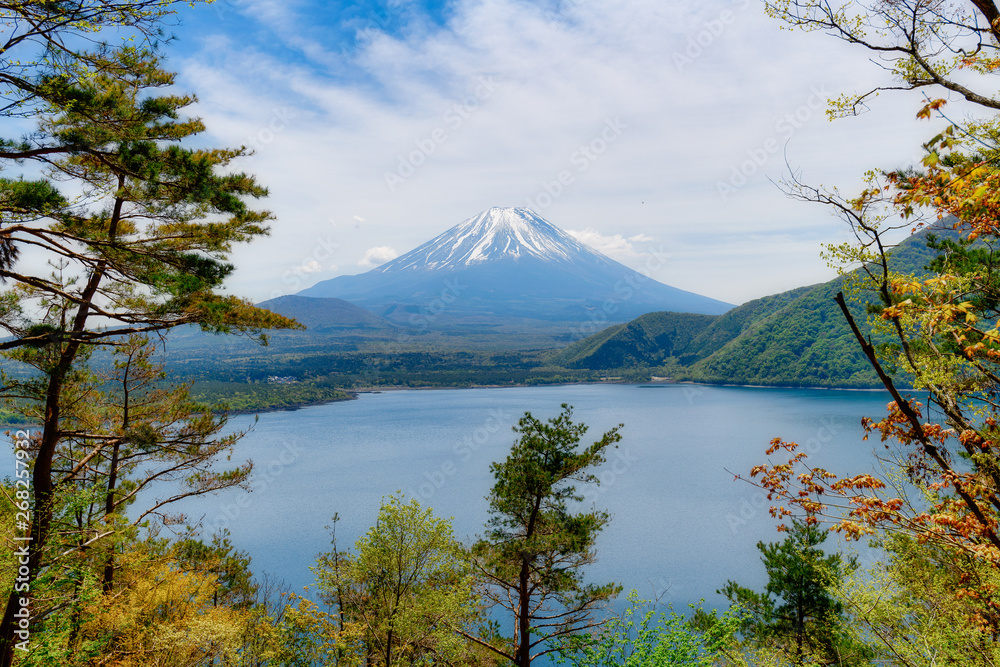 本栖湖 湖畔からの富士山 本栖湖 湖畔からの富士山