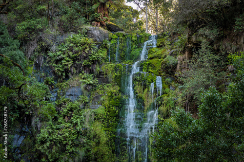 Fototapeta Naklejka Na Ścianę i Meble -  Erskine Falls, near Lorne, Victoria, Australia