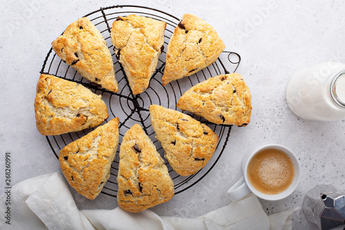 Homemade chocolate chunk scones with coffee for breakfast