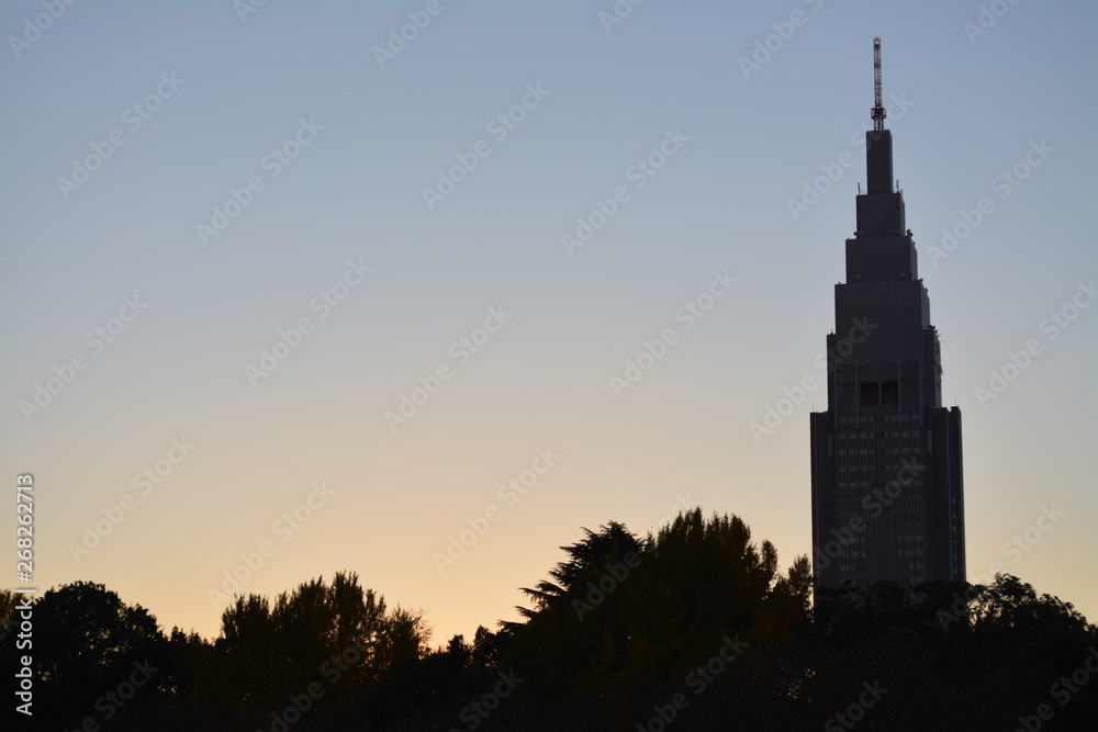 東京都新宿区の公園から見た夕焼けと高層ビル