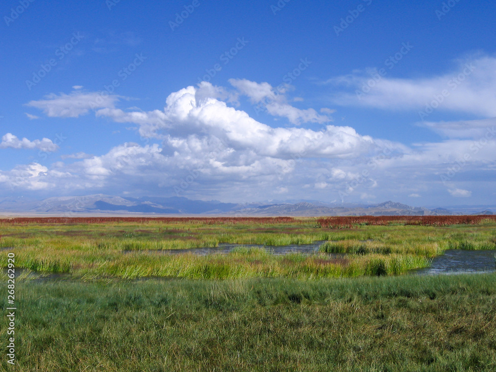 Beautiful wetland in Xinjiang, China