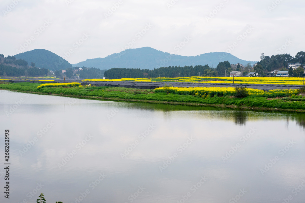 Fototapeta premium scenery of the town south of the Yangtze River in spring